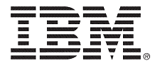 IBM-logo02